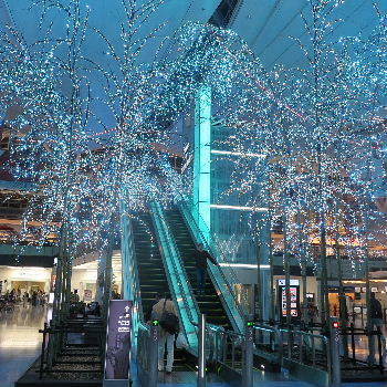 夜の羽田空港国際線ターミナル 東京下町散策ナビ